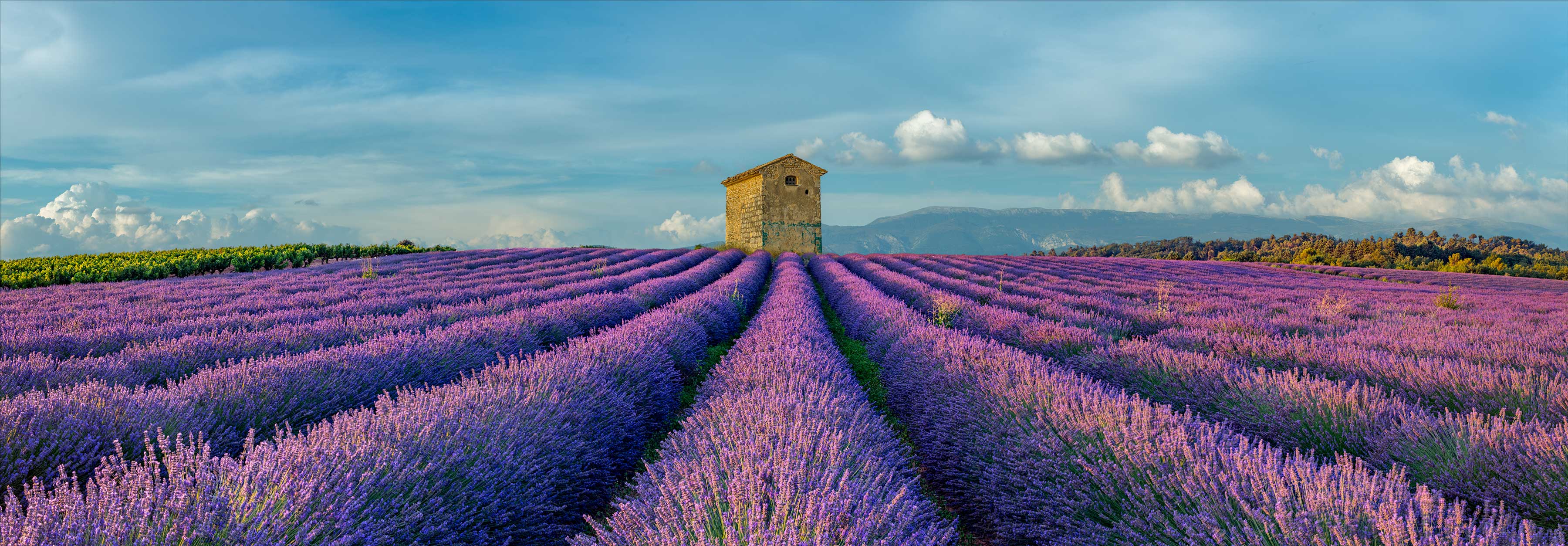 Masterpieces of Nature and Light